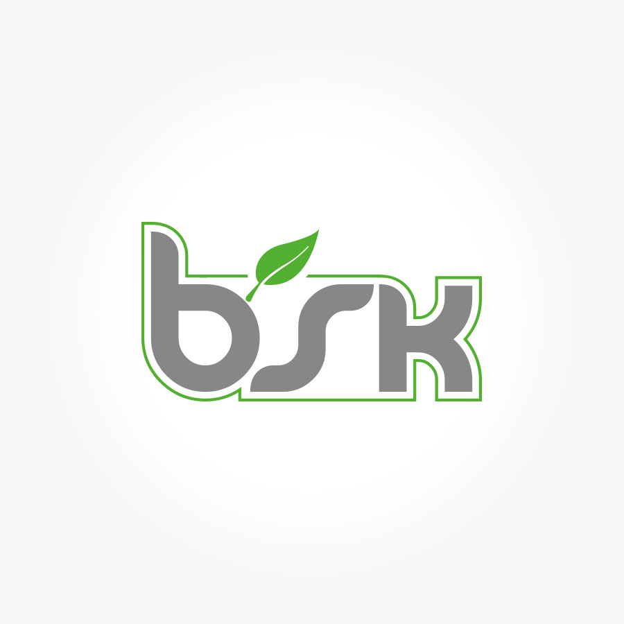 BSK Logo design NXT ANCHOR Los Angeles California