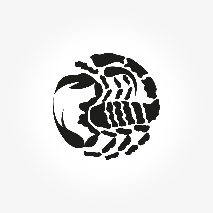 Scorpion Logo design NXT ANCHOR Los Angeles California